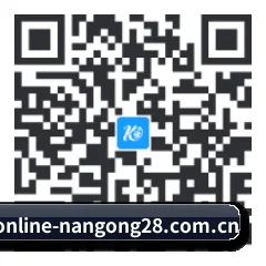 系统版 Android 二维码